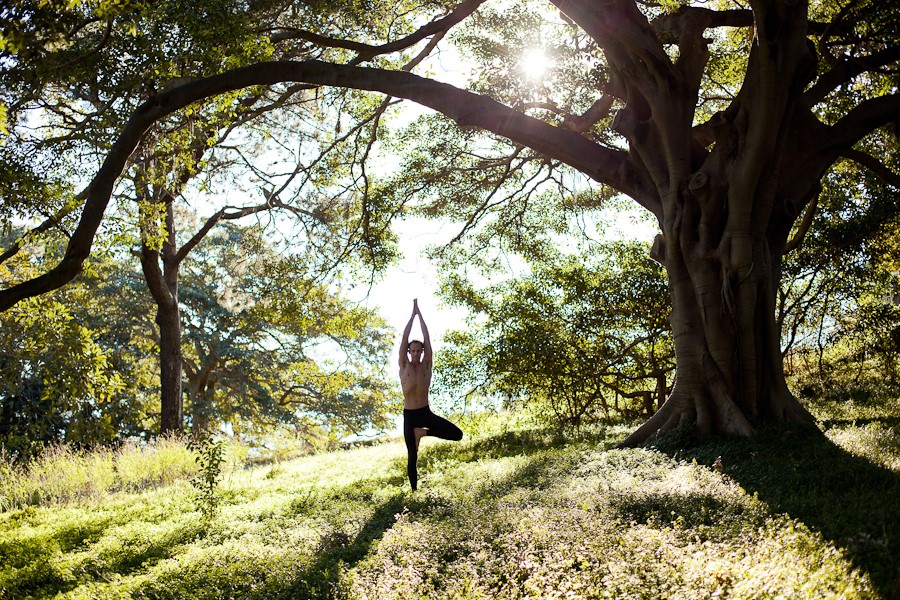 Fundamentals of Yoga Beginners Course